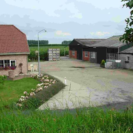 Voormalig Strandhuisje In Boomgaard In Hengstdijk Exterior foto