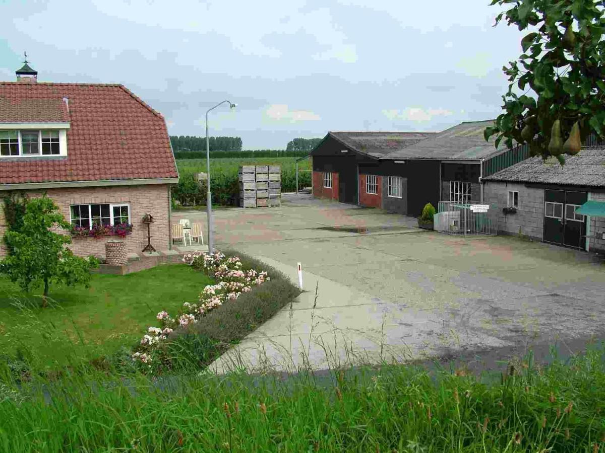 Voormalig Strandhuisje In Boomgaard In Hengstdijk Exterior foto