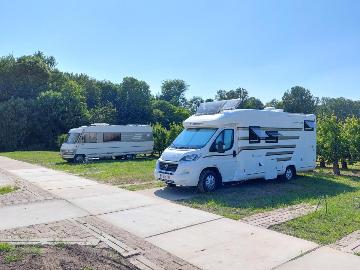 Voormalig Strandhuisje In Boomgaard In Hengstdijk Exterior foto